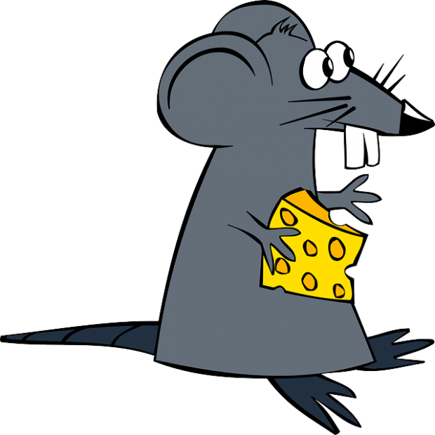 dibujo de raton