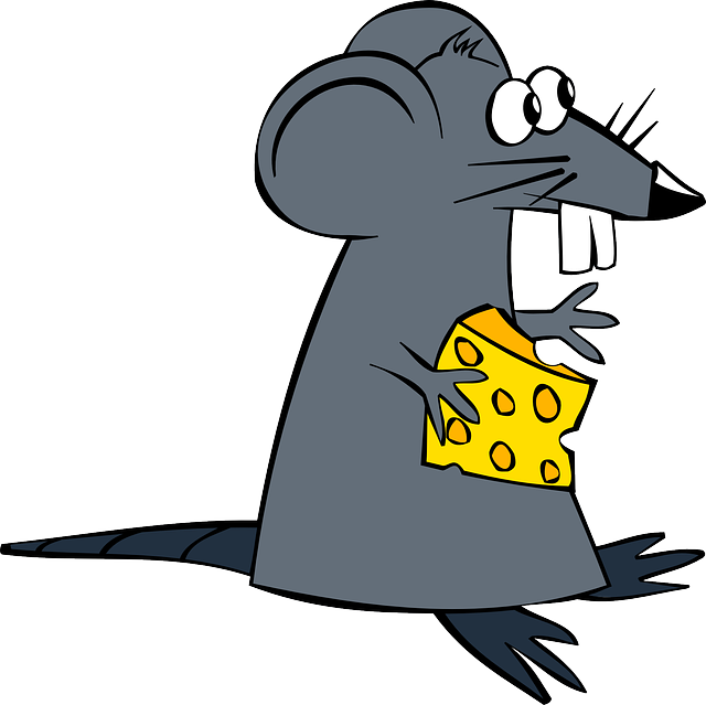 dibujo de raton