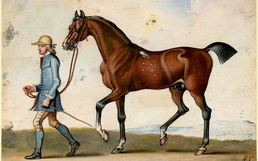 Resultado de imagen de fabula el caballo y el palafrenero