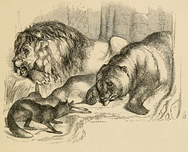 fabula del leon el zorro y el oso