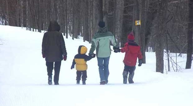 Familias sólidas: qué son, cómo funcionan y cómo construir la tuya 3 familia unida y fuerte