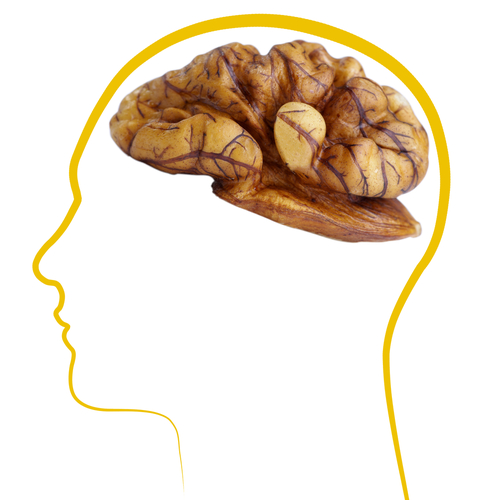 nueces