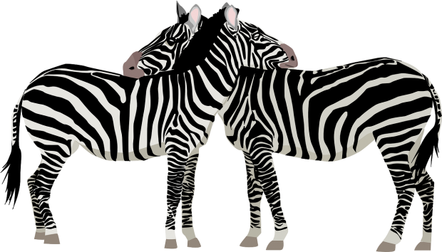 cuento corto de las cebras