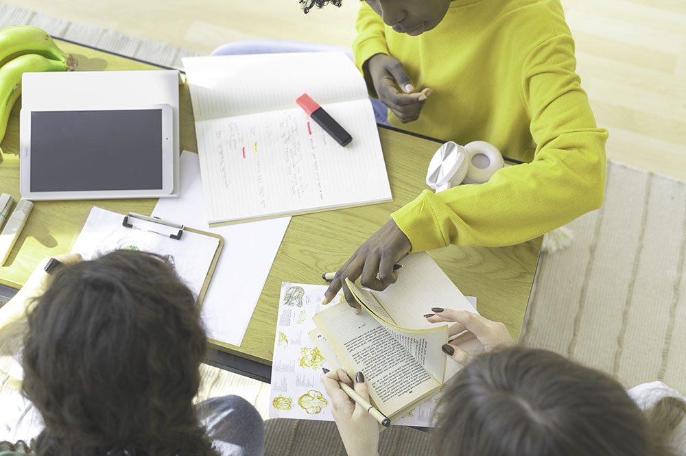 curriculo inclusivo
